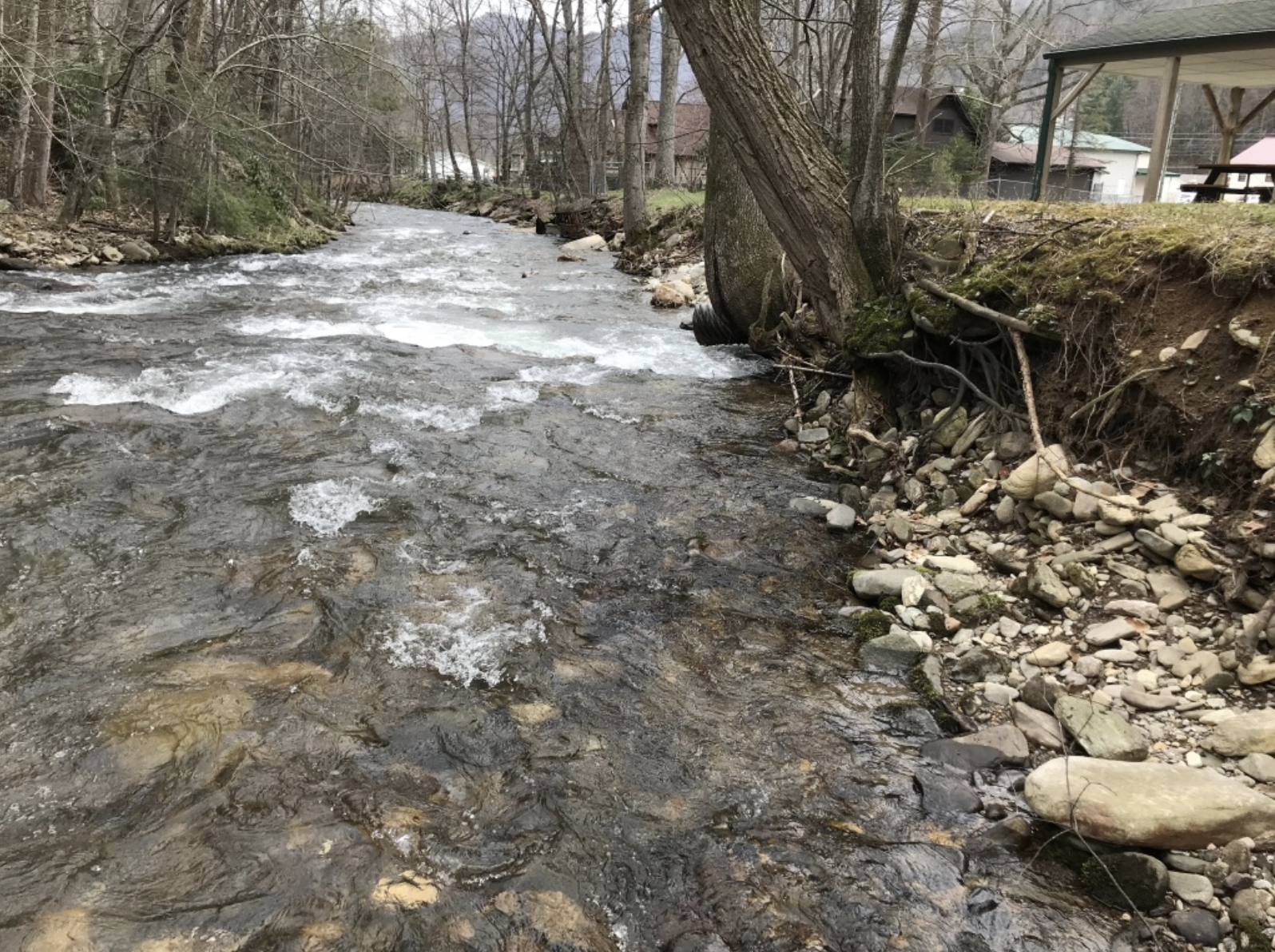 The precipitous bank along Jonathan Creek before the stream restoration project.